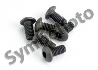 Vis à tête cylindrique à six pans creuse M3x10 (6) Vis à tête cylindrique à six pans creuse M3x10 (6)